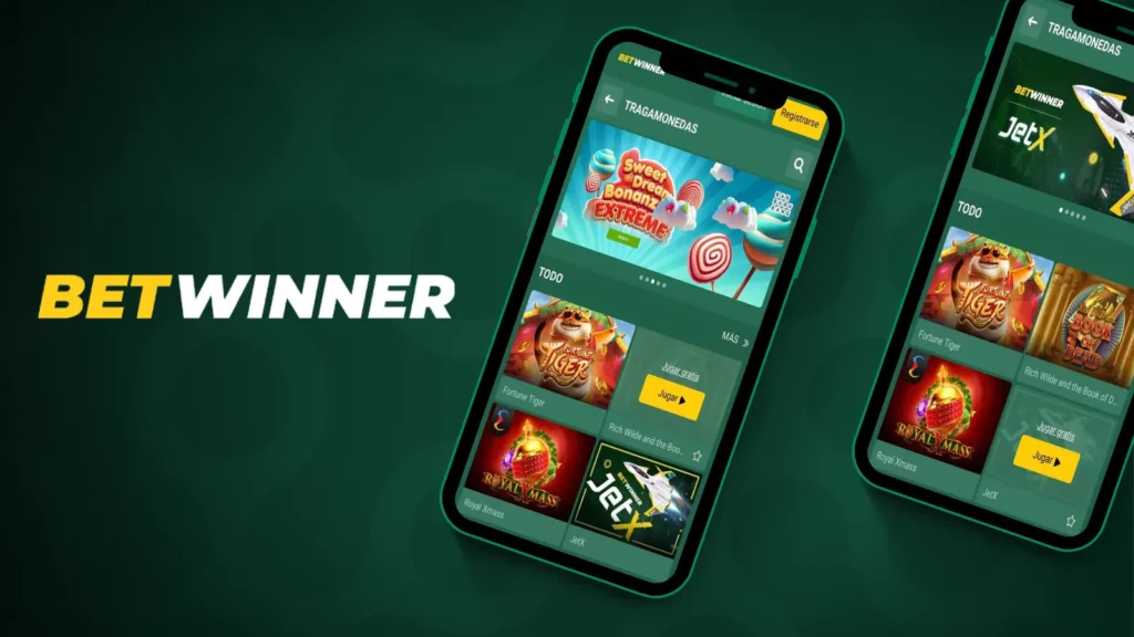 Bet winner app